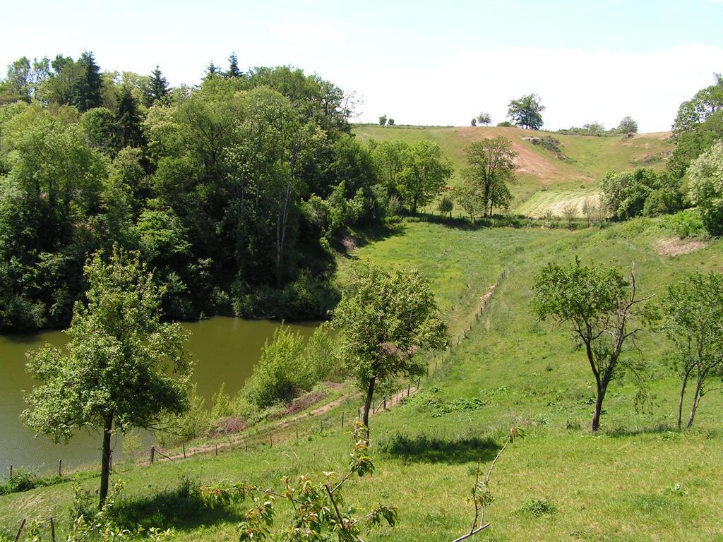 Gite De Carbonies Saint-Felix-de-Lunel Екстер'єр фото